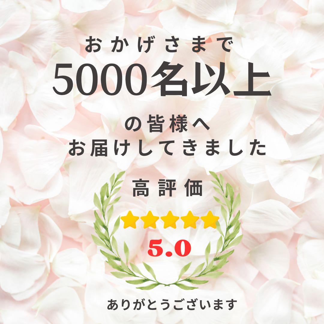 流木×華やか迎春ウォールリース｜ボタンと芍薬の特大お正月飾り｜玄関・店舗用飾り