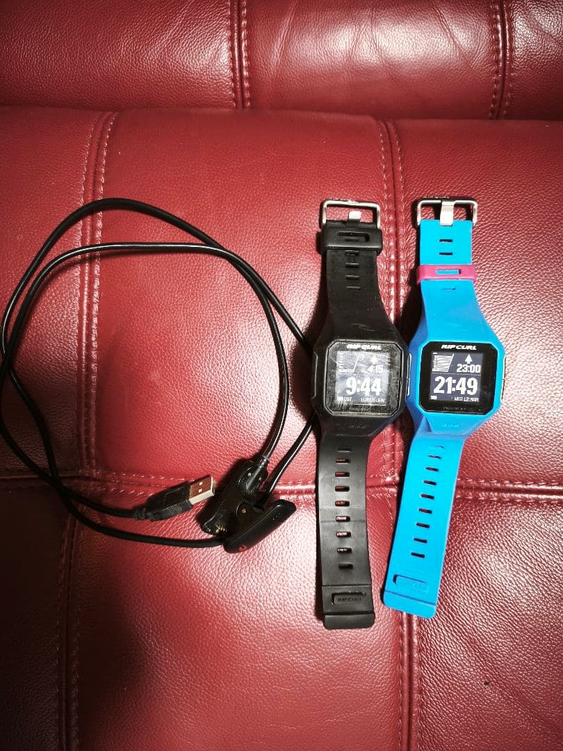 RIP CARL SEARCH GPS 2台セット