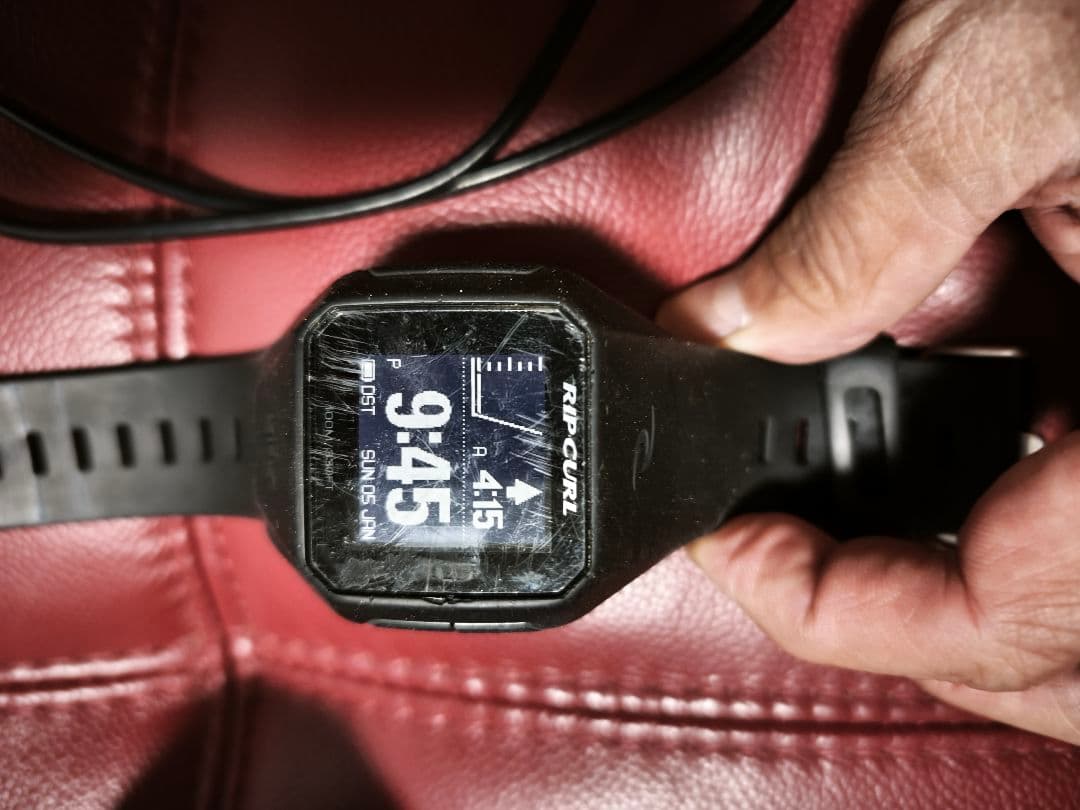 RIP CARL SEARCH GPS 2台セット